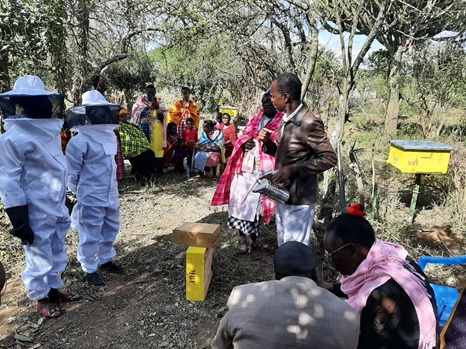 Maasai gender and community resilience project